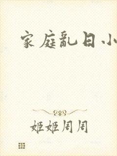 家庭乱日小说