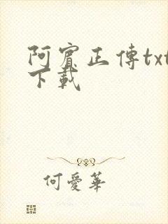 阿宾正传txt下载封面