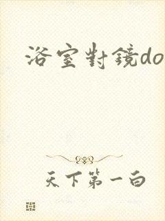 浴室对镜doi