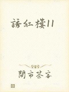 诱红楼11