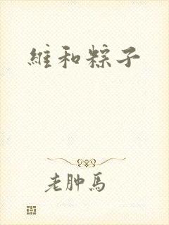 维和粽子