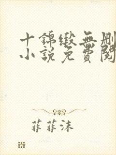 十锦缎无删原著小说免费阅读封面