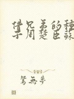 借兄弟的种生孩子周楚臣苏糖