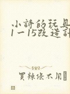 小诗的玩具日记1一15改造计划封面