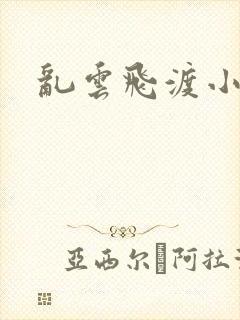乱云飞渡小说