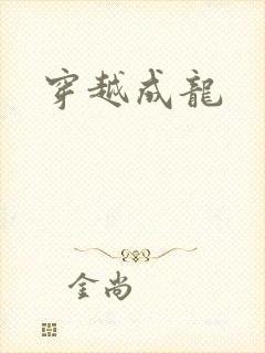 穿越成龙