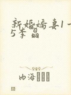 新婚娇妻1一25李晶封面