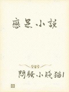 恋足小说封面