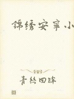锦绣安宁小说封面