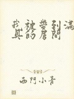 我被带到满是玩具的房间