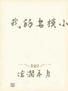 我的名模小娇妻