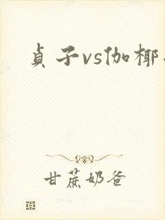 贞子vs伽椰子封面