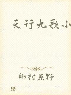 天行九歌小说