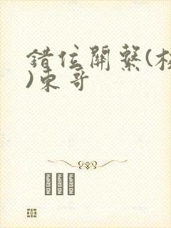 错位关系(校园)东哥