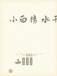 小白杨 水千丞