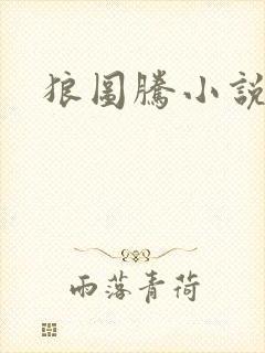 狼图腾小说