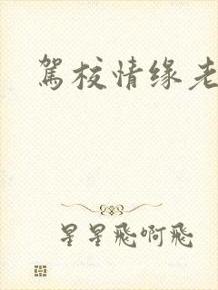 驾校情缘老赵