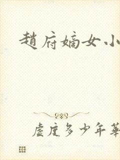 赵府嫡女小说封面