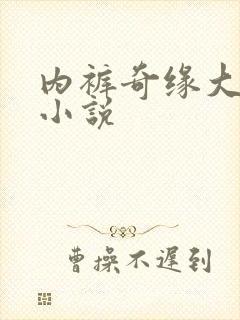 内裤奇缘大团结小说