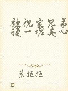 被祝家兄弟共享后一块夹心饼封面