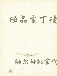 极品家丁后传