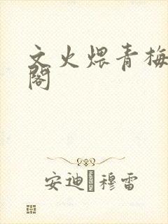 文火煨青梅笔趣阁