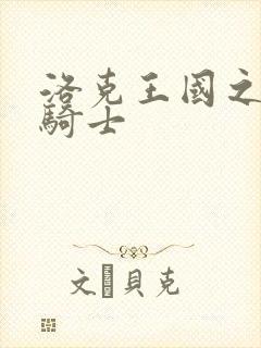 洛克王国之圣龙骑士封面