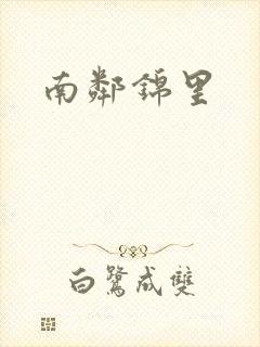 南邻锦里封面