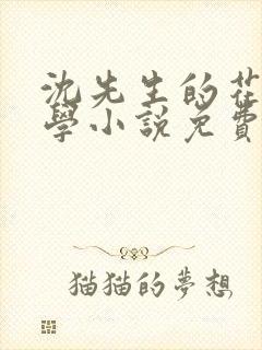 沈先生的花式教学小说免费封面