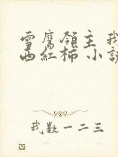 雪鹰领主 我吃西红柿 小说