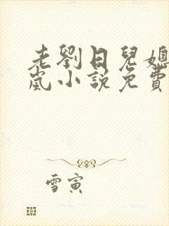 老刘日儿媳妇张岚小说免费阅读