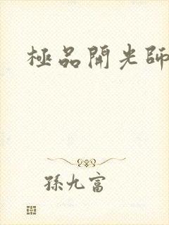 极品开光师封面