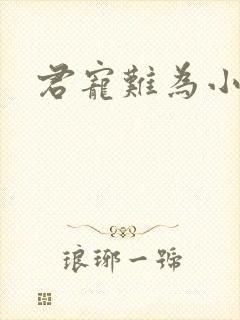 君宠难为小说