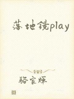 落地镜play