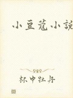 小豆蔻小说