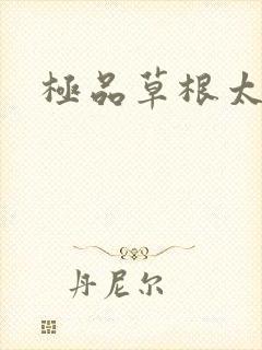 极品草根太子
