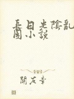 长日光阴乱作一团小说封面