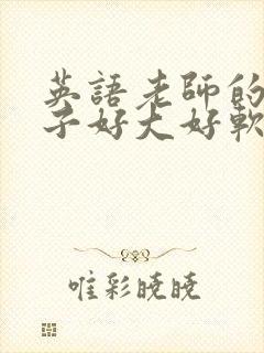 英语老师的小兔子好大好软水