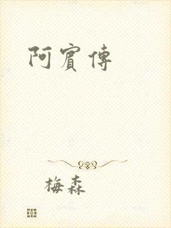 阿宾传