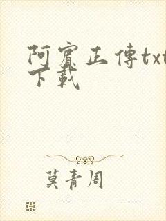 阿宾正传txt下载
