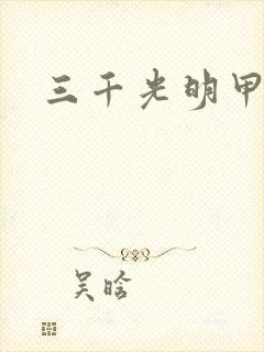 三千光明甲
