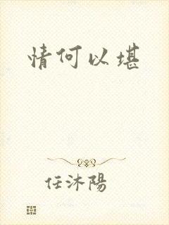 情何以堪封面