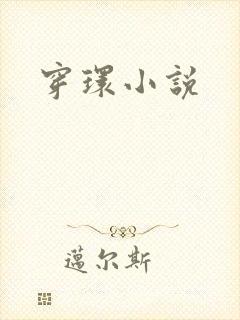 穿环小说