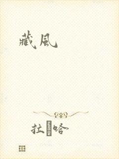 藏风