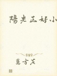 阳光正好小说