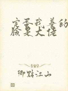 完蛋我养的小白脸是大佬