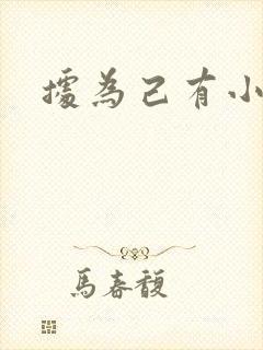 据为己有小说