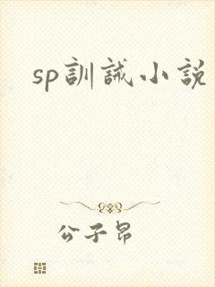 sp训诫小说