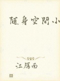 随身空间小说封面