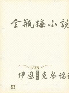 金瓶梅小说下载